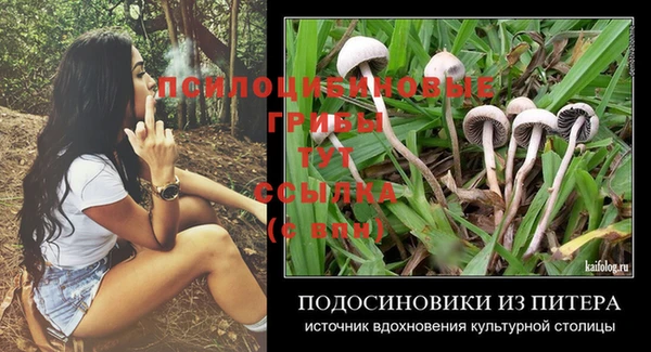спайс Балабаново